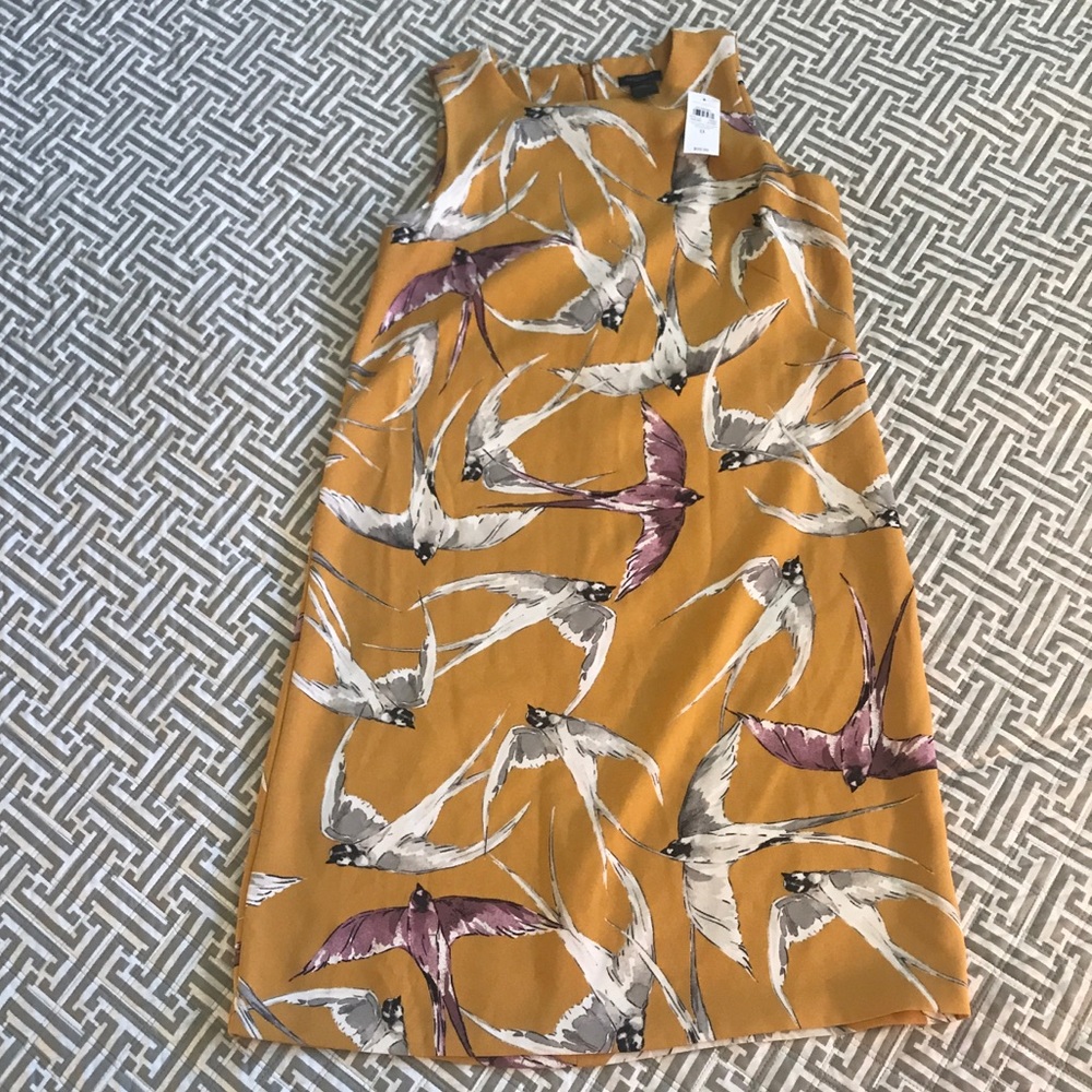 NWT | Ann Taylor | Dress | 0